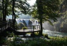 Women’s Organizations in Bulgaria A Growing Movement