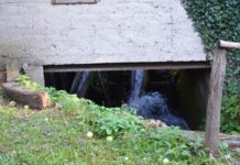 The Most Venerated Church of the Hebdomon