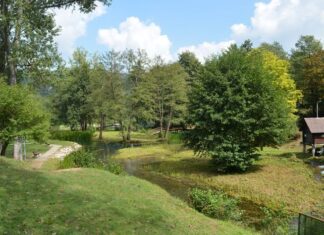The Relic and the Fame of the Church